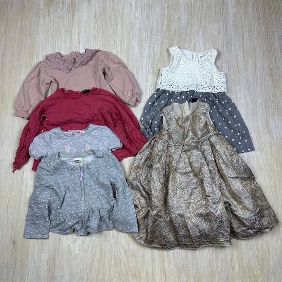 6 Piece Bundle Lot Girls 2T Sweatshirt Shirt Dress Toddler Gap H&M Pink Neutral - Picture 9 of 9